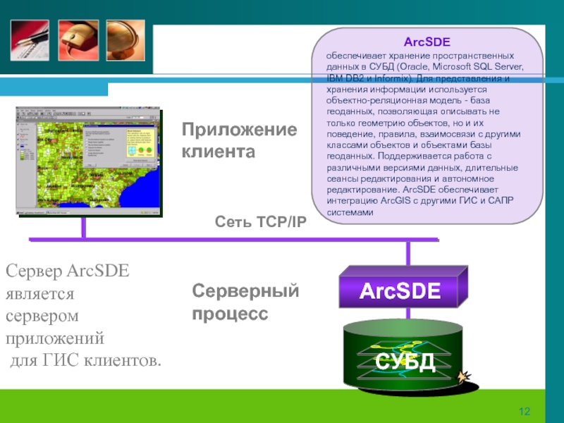 Основы работы с пространственными данными. Хранение и обработка пространственных данных. Пространственные данные в гис. Хранение и обработка пространственных данных. Проблематика геоинформационных систем.