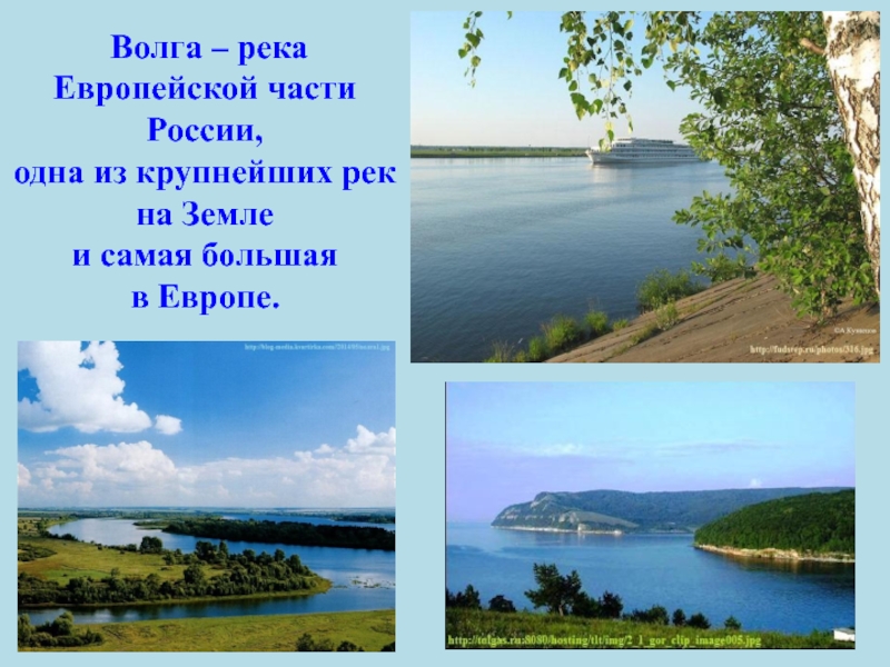 Главная река европейской части. Волга река в европейской части России. Волга самая большая река. Река Волга презентация. Богатство реки Волги.