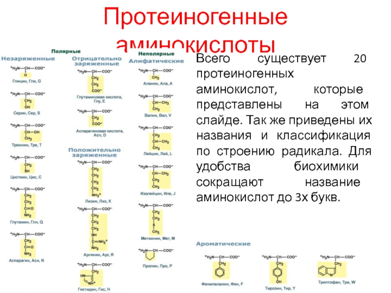 В состав входят 20 аминокислот. 20 Протеиногенных аминокислот. Аминокислоты 20 основных. Протеиногенные аминокислоты формулы. Протеиногенные аминокислоты строение.