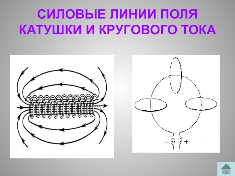 Поле катушки с током