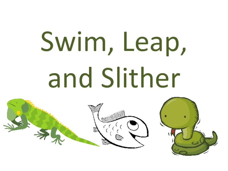 Презентация Swim, Leap, and Slither
