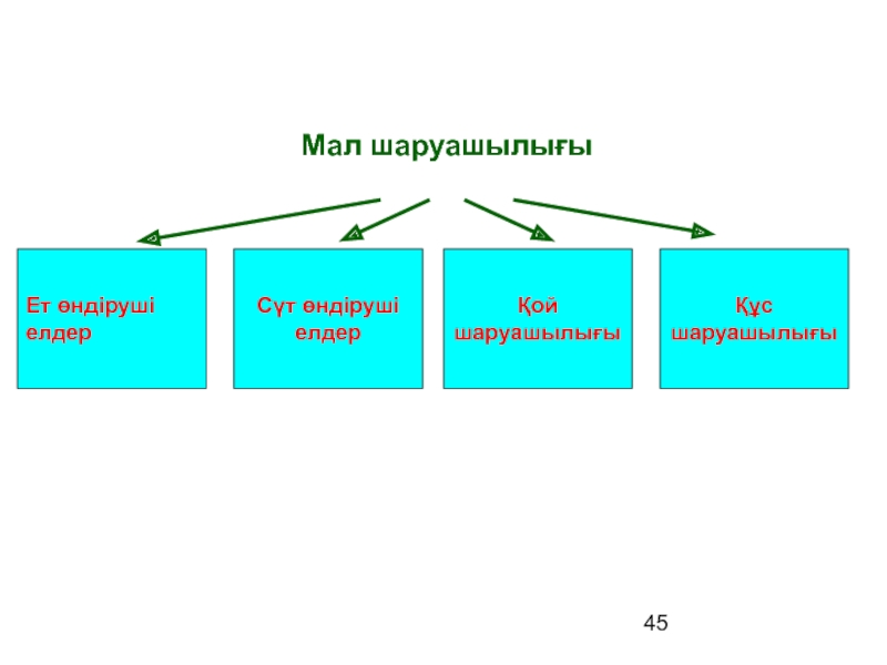 Дүниежүзілік шаруашылықтың даму көрсеткіштері презентация