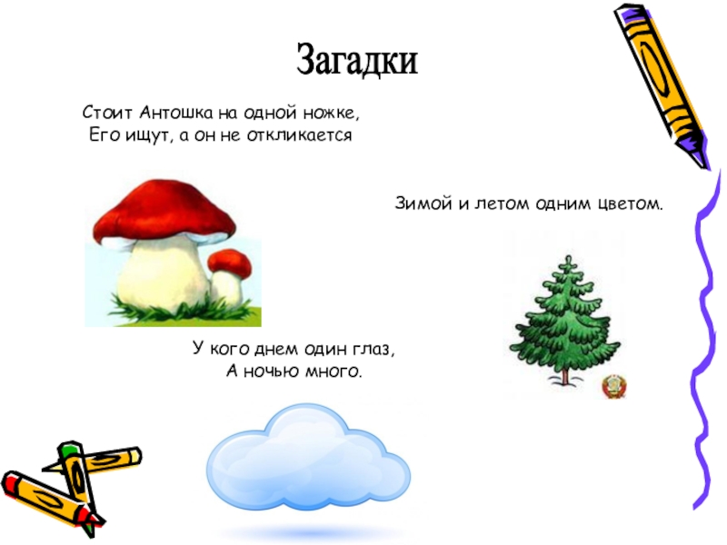 Зимой и летом 1 цветом. Стоит Антошка на одной ножке загадка. Антошка на ножке загадка. Антошка на ножке загадка отгадка. Загадки зимой и летом одним.