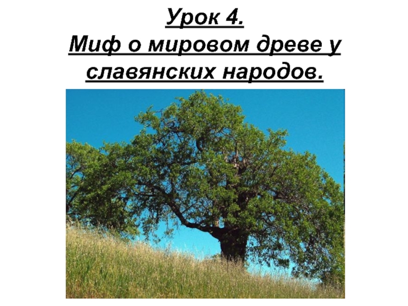 Миф о мировом древе у славянских народов