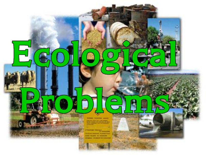 Презентация Ecological
Problems