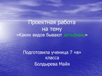 Проектная работа на тему Каких видов бывают дельфины