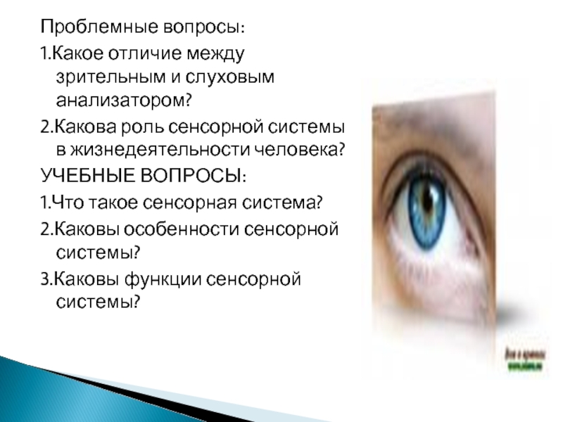 Какое отличие. Зрительная система и ее значение в жизнедеятельности организма. Какова роль зрения в жизнедеятельности человека?. Зрительный и зрительский разница. Какой СУПЕРОПТИК какие отличия.