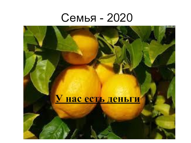 Семья - 2020