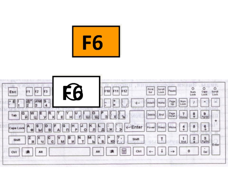 F6F6