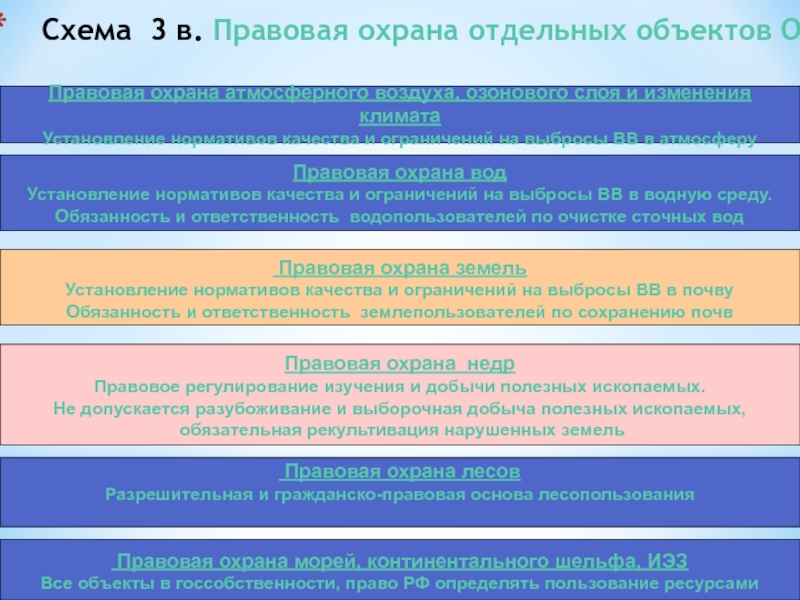 Правовые меры охраны лесов презентация