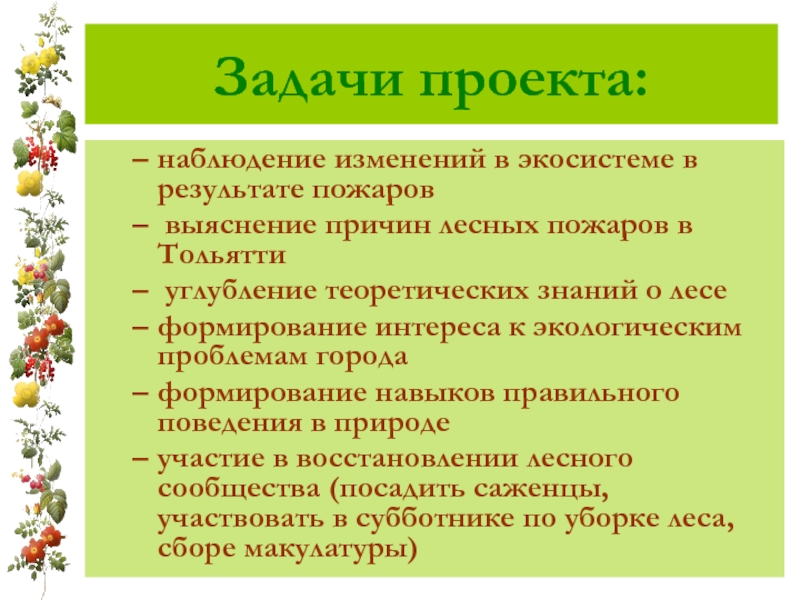 Экологические проблемы задачи проекта