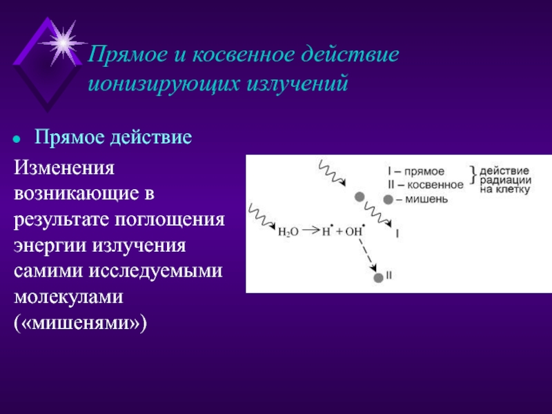 Презентации по радиобиологии