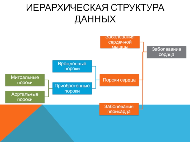 Что такое иерархическая структура проекта