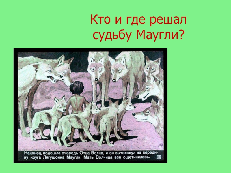 Киплинг маугли презентация