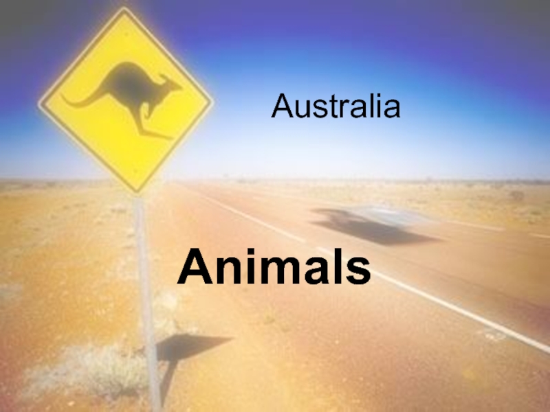 Australia. Animals