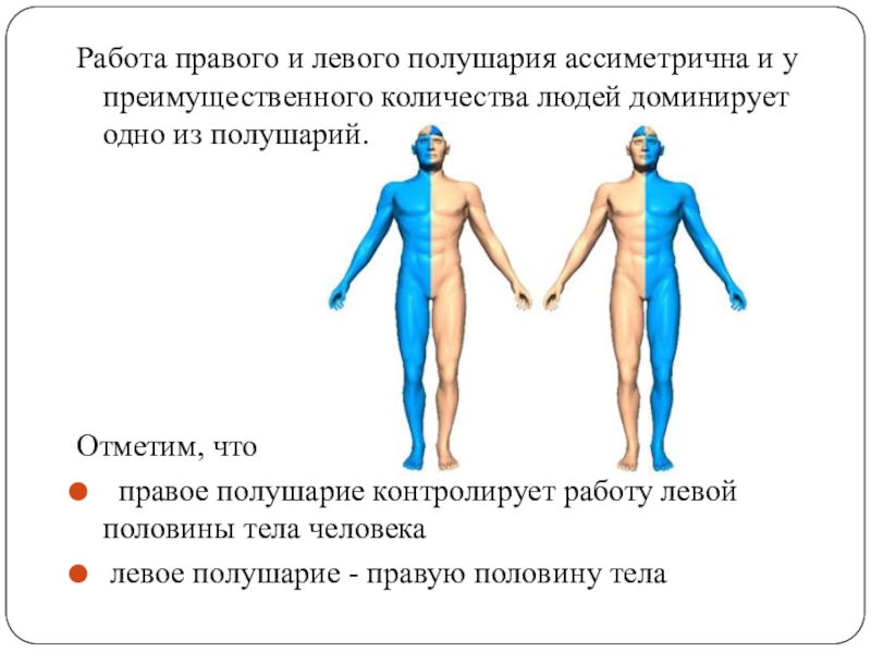 Почему левое больше правого. Правая и левая сторона тела. Левая и правая сторона тела мужская и женская. Левая сторона человека за что отвечает. Левая сторона и правая сторона.