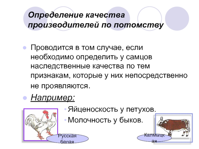 Животные определение. Качество это определение. Определение например. Испытание производителя по потомству. Унаследованные качества.