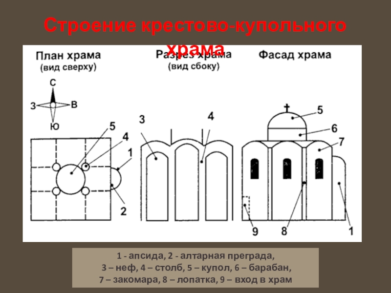 Тип здания прямоугольный в плане состоящий из нечетного количества 3 или 5