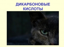 ДИКАРБОНОВЫЕ КИСЛОТЫ.ppt