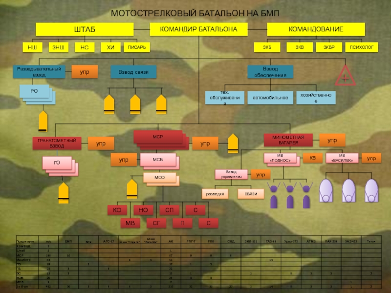 Рота бмп. Структура штаба батальона. Разведывательный взвод мотострелкового батальона. Состав штаба мотострелкового батальона. Штаб мотострелкового батальона.