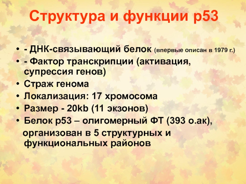 Функции р. Роль Гена р53 в регуляции клеточного цикла. Роль белка р53 в регуляции клеточного цикла. Функции белка р53. Белок р53 функции.