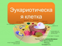 Эукариотическая клетка