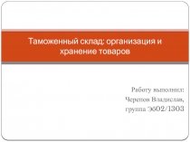 Таможенный склад: организация и хранение товаров 