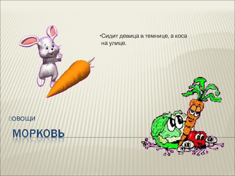 Презентация Морковь