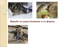 Борьба за существование и ее формы