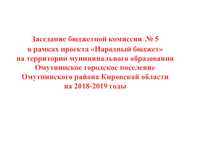 Заседание бюджетной комиссии № 5 в рамках проекта Народный бюджет на