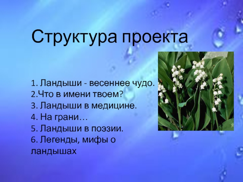 Составить загадку о ландыше. Стихи и загадки про Ландыши.