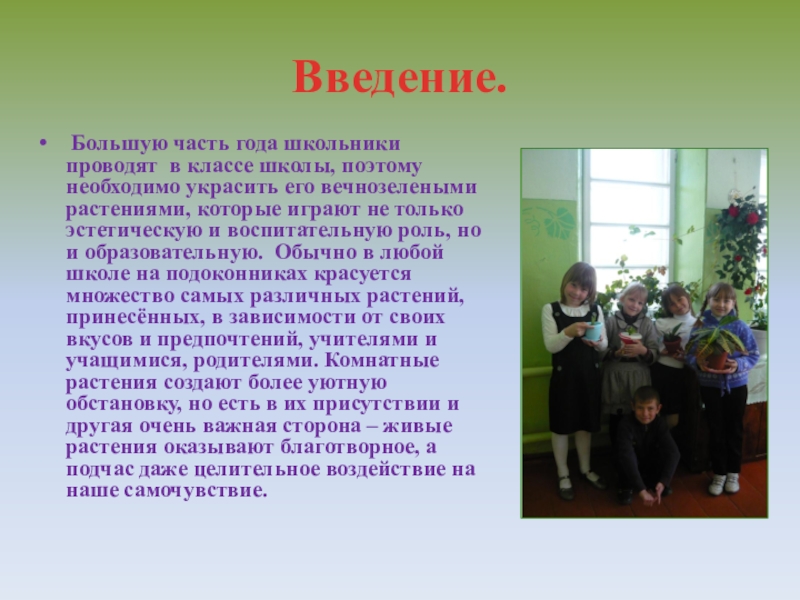 Описание лета класс. Проект комнатные растения Введение. Введение про школу. Введение моя школа. Введение школьного сайта.