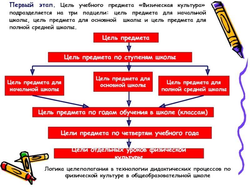 Дидактический процесс в физической культуре