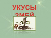 Укусы змей