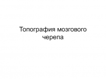 Топография мозгового черепа