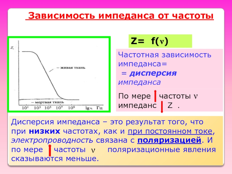 Импеданс тканей организма эквивалентная электрическая схема тканей организма