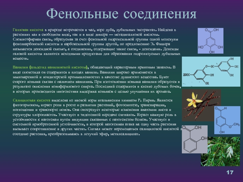 Вторичные метаболиты растений презентация