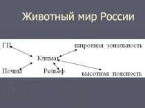 Животный мир России