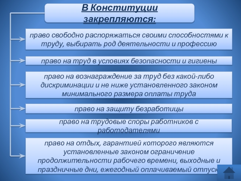 Презентация по теме трудовые правоотношения