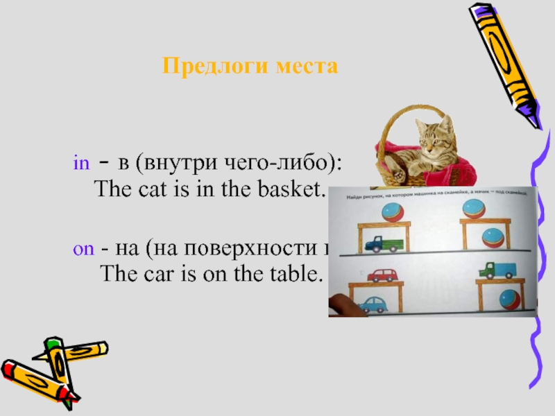 Предлоги места in - в (внутри чего-либо): The cat is in the basket. on - на (на