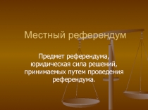 Местный референдум