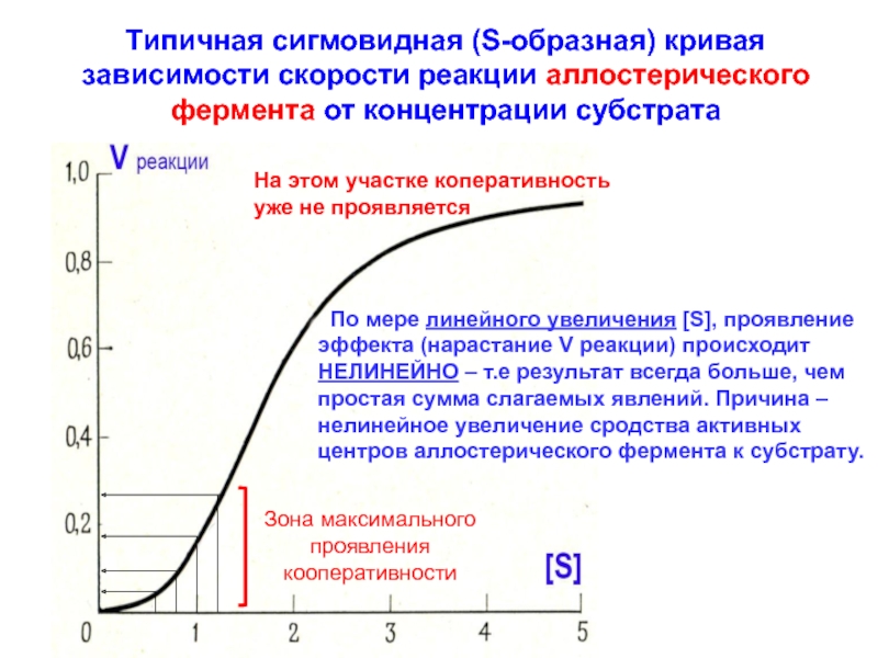 Зависимость ферментов от концентрации субстрата