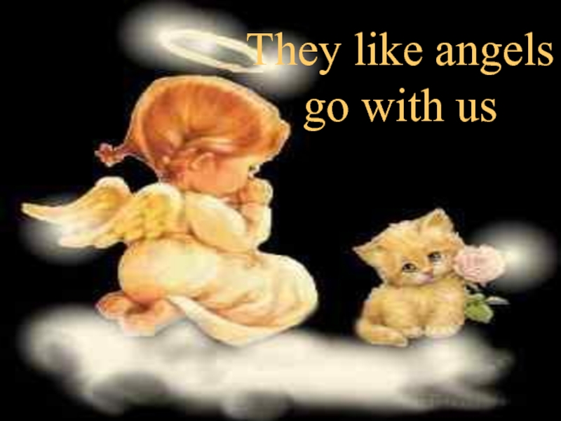 They like angels  go with us