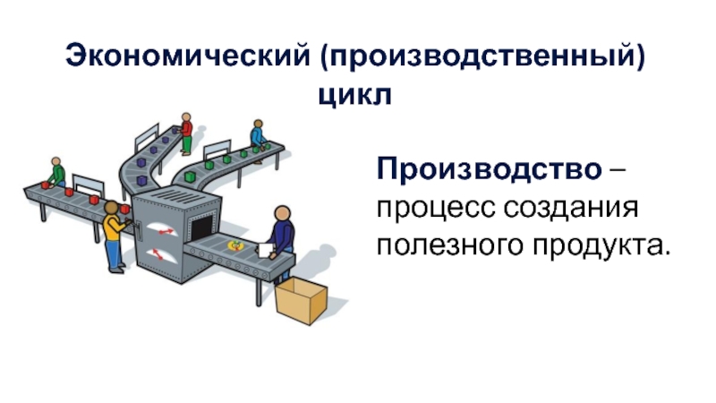 Экономическая организация производства