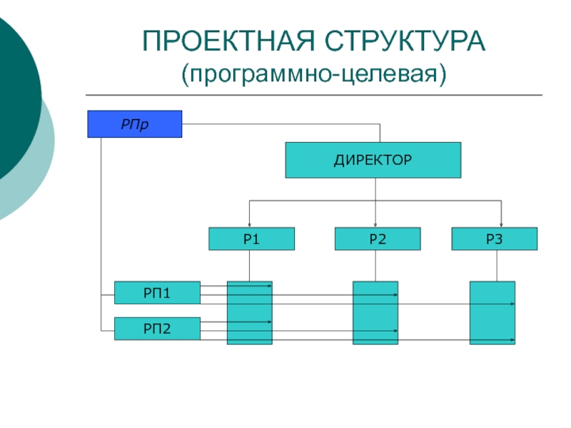 Целевая структура. Программная структура в организации. РПР В экономике. Структура Rp 1.8. Состав рп1.