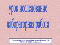 Урок исследование. Лабораторная работа