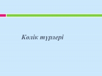 Презентация по казахскому языку на тему 