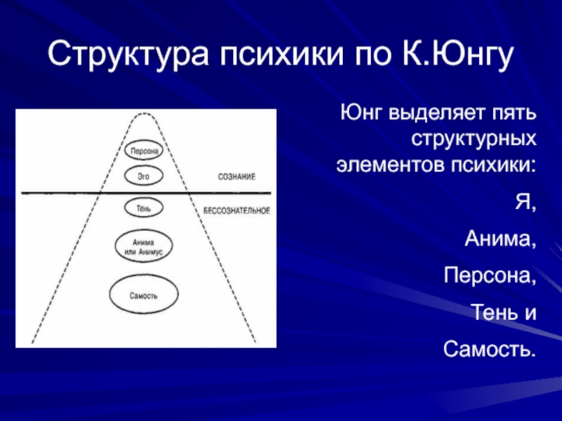 Юнгианская психология. Структура психики по Юнгу. Психика по Юнгу.