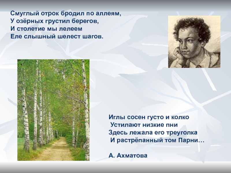 Я отрок зажигаю свечи. Смуглый отрок бродил по аллеям Пушкин. Смуглый отрок бродил по аллеям у озерных грустил берегов. Бродил по аллеям, у озерных грустил берегов,. Стих Смуглый отрок бродил по аллеям.