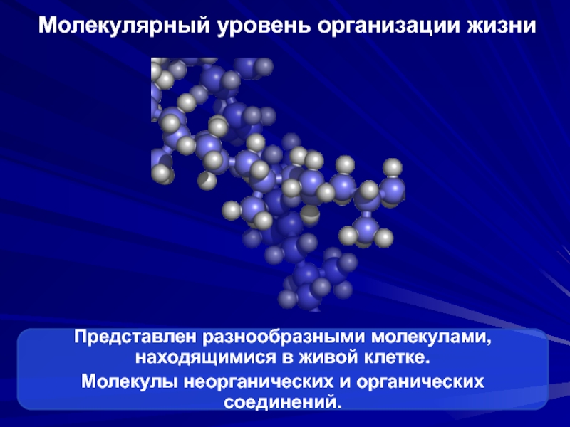 Молекулярный уровень организации живого. Молекулярный уровень организации. Уровни организации молекулы. Молекулярный уровень организации жизни. Атомно молекулярный уровень организации.